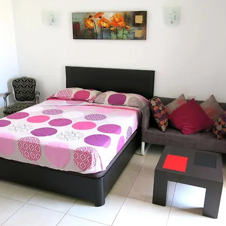 Estudio Gavota - Playeros Los Cristianos (Tenerife)